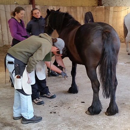 Europe & UK 5 Day Course Balance Payment