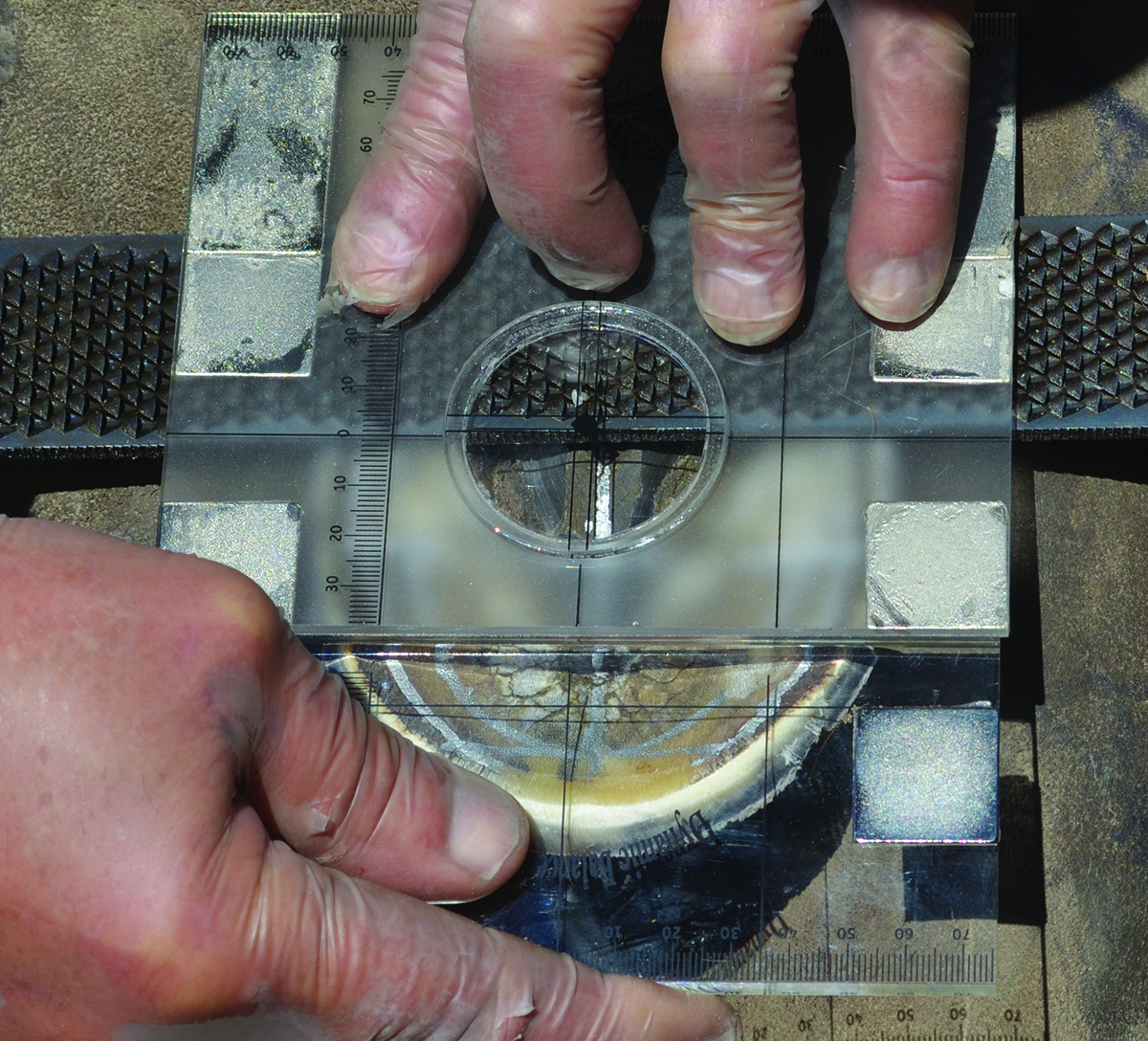 Applied Equine Podiatry: Laminitis, Founder & Equine Digital Osteoarthritis - Image 11