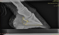 Level 2 DAEPS only ONLINE Course Jan 26-30, 2026